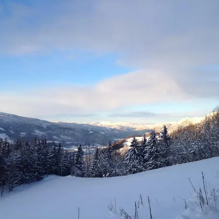 Hafjell 度假居 Øyer