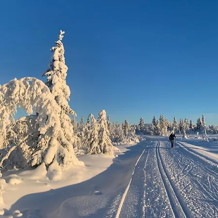 With Ev Outlet * Hafjell
