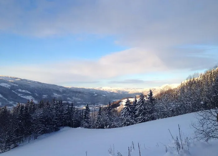 Hafjell Farmhouse, Elbil-Lader בית נופש Oyer